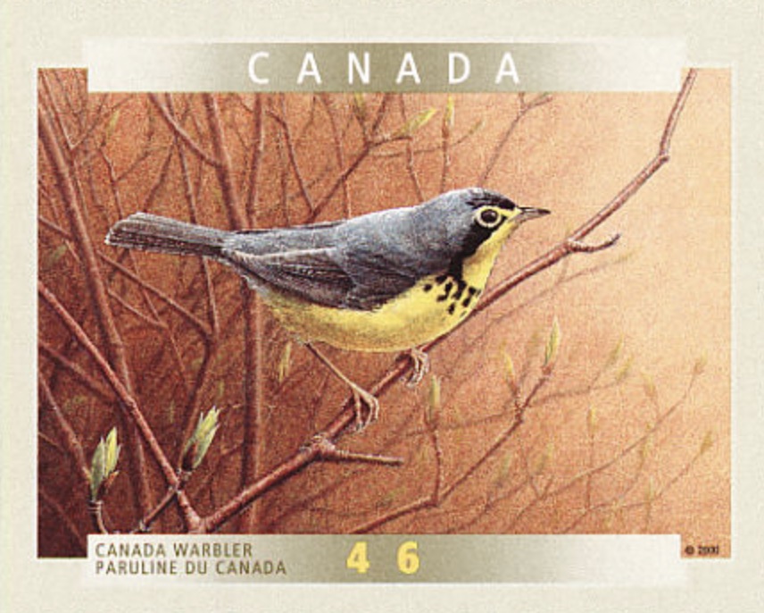 Canada Warbler Stamp
