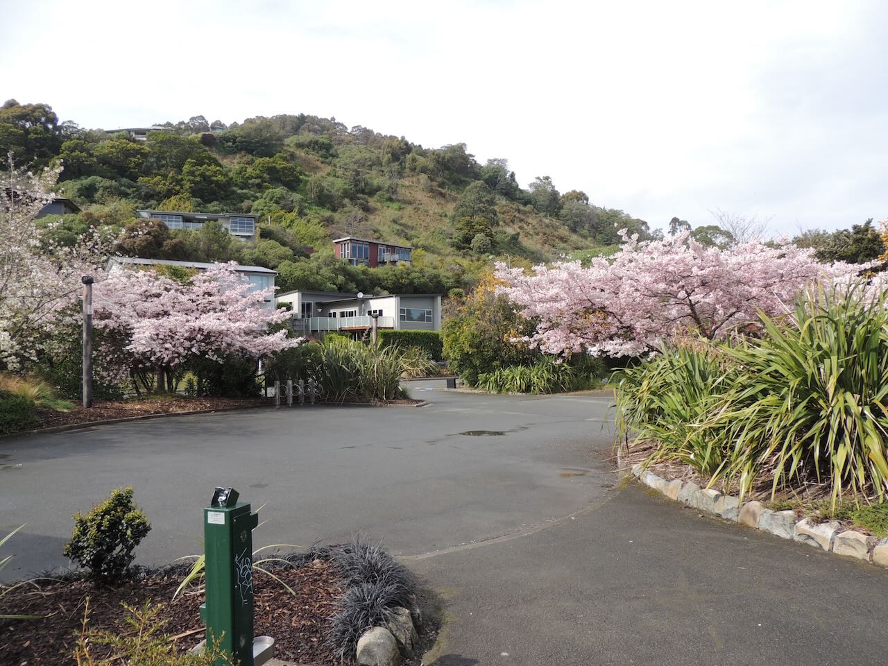 Nelson Japanese Gardens