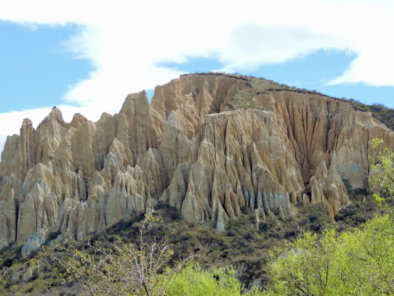 Clay Cliffs