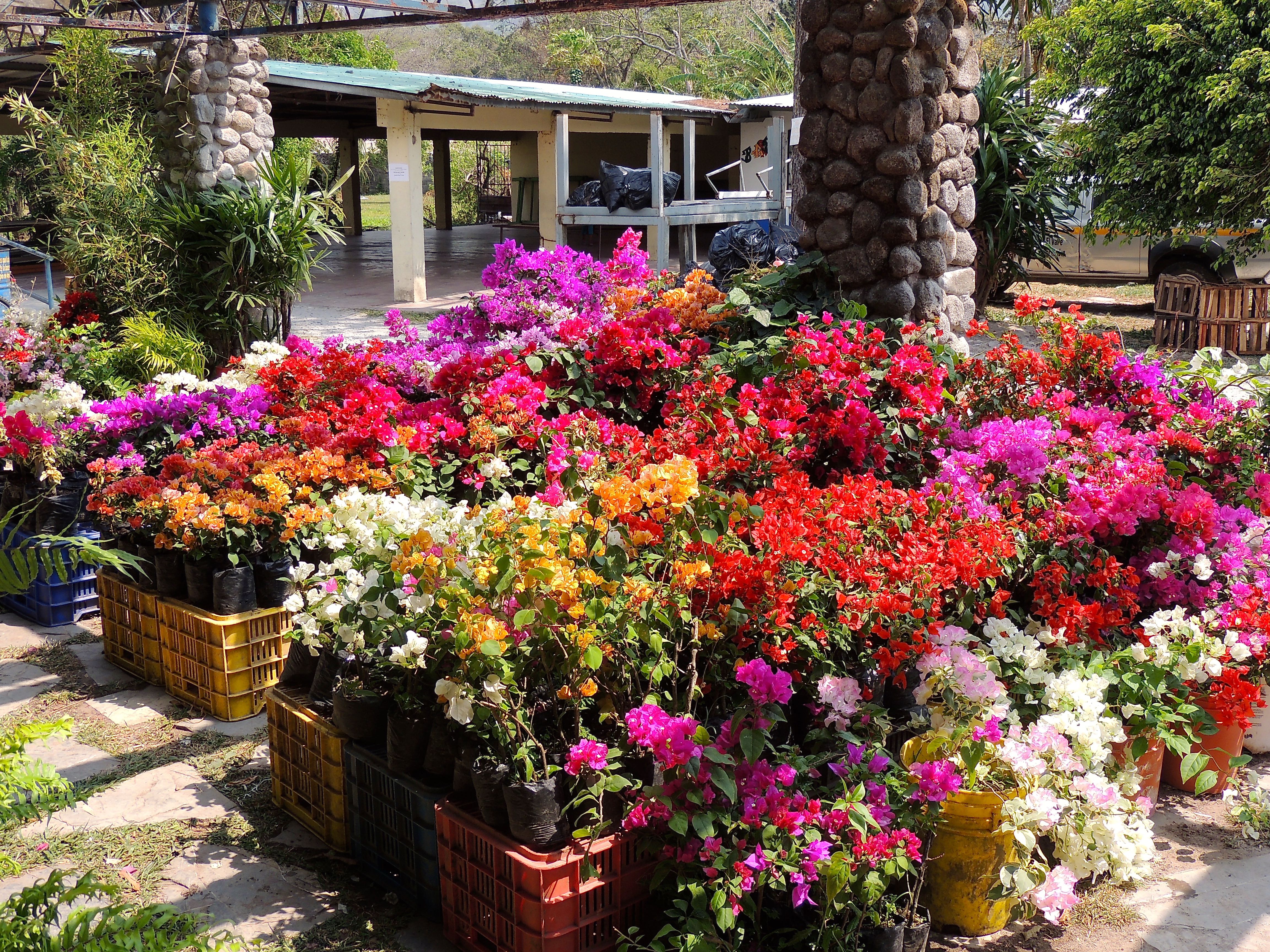 El Valle Flower Market