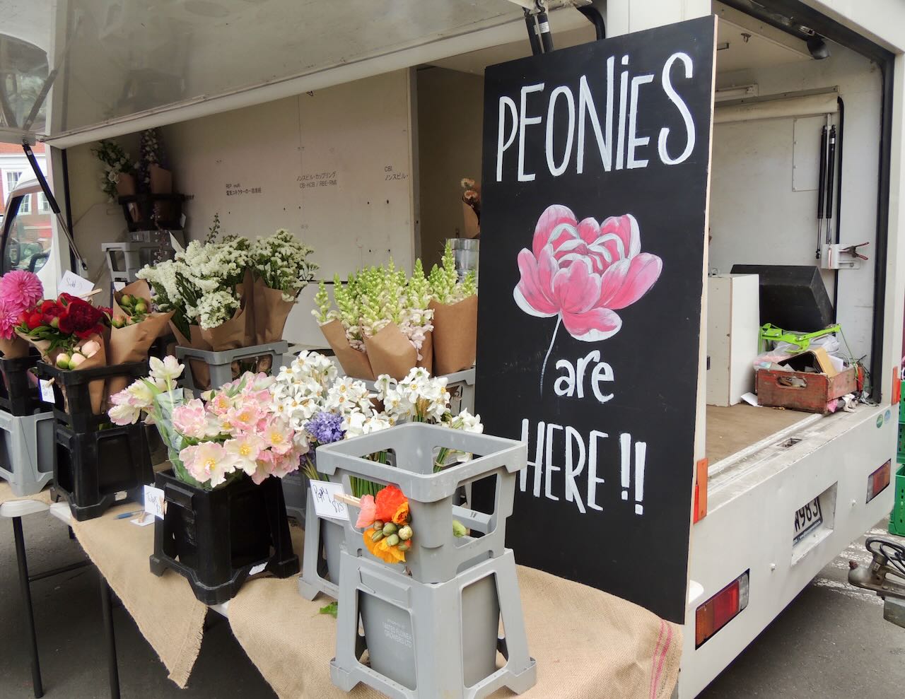 Flowers in Auckland Market