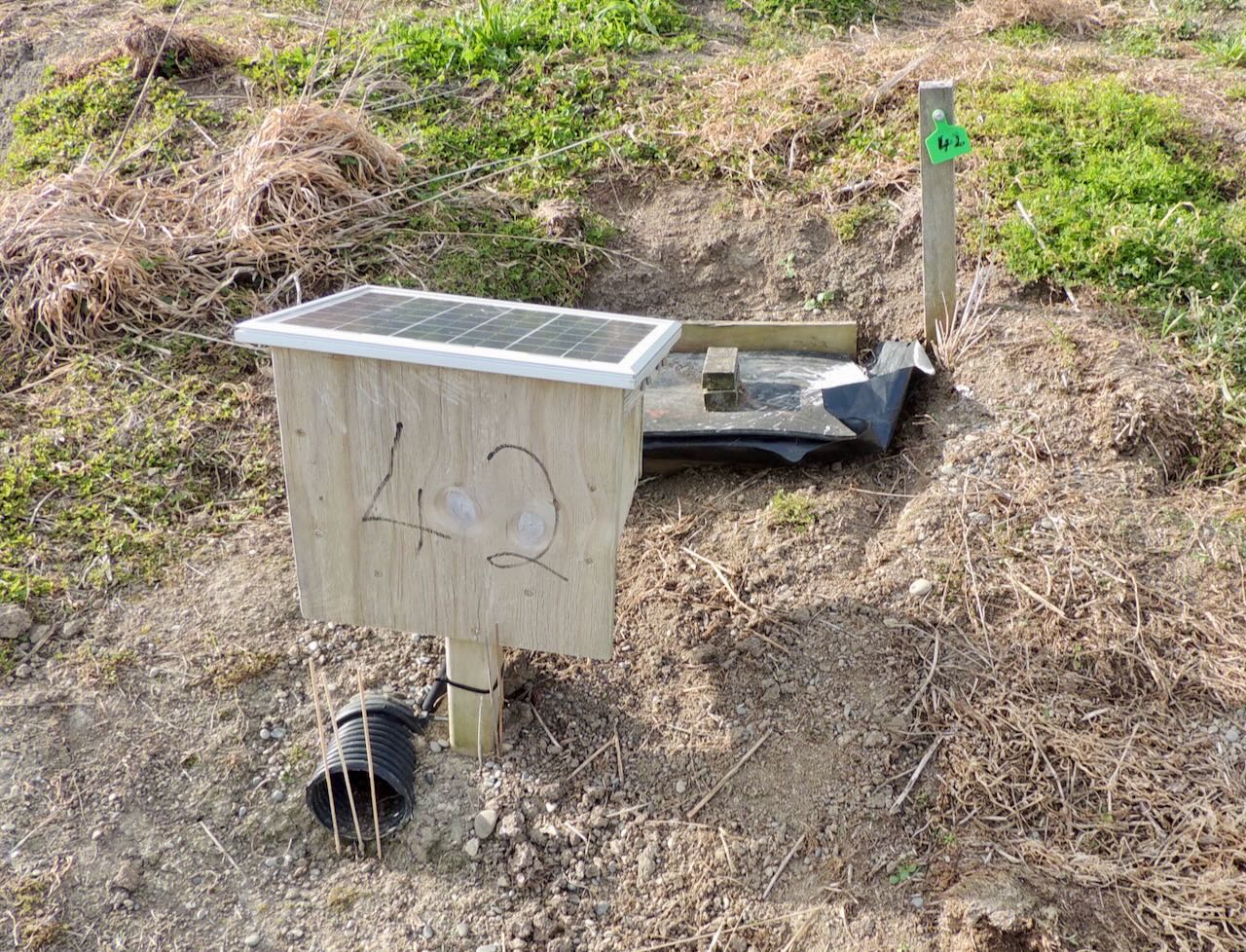 Hutton's Shearwater Nest Box