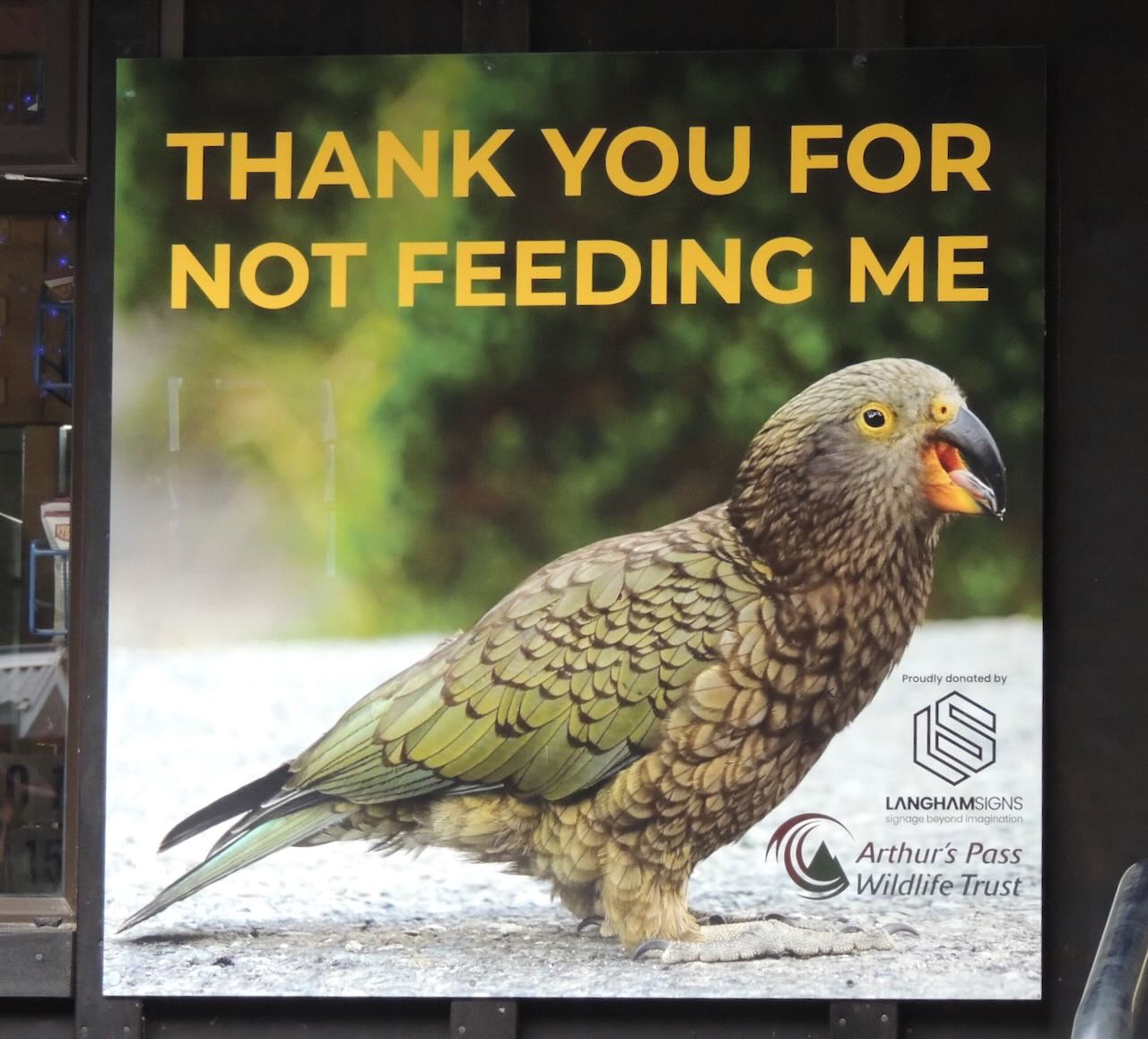 Do Not Feed the Keas Sign