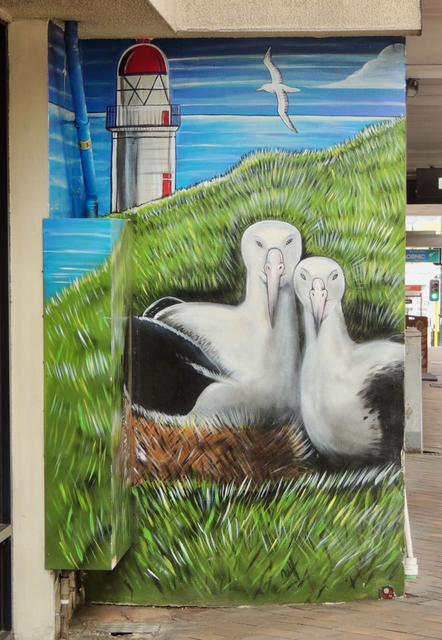 Northern Royal Albatross Art