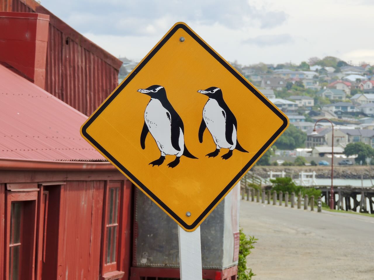 Penguin Sign