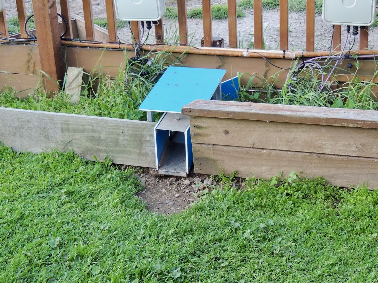 Little Penguin Tunnel and Weighing Device