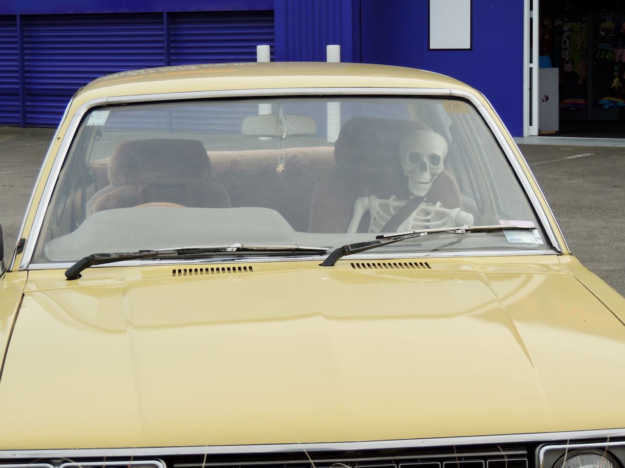 Skeleton in Car