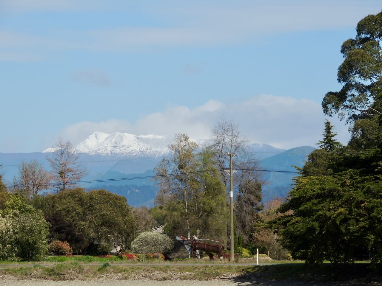 View of Mount Arthur