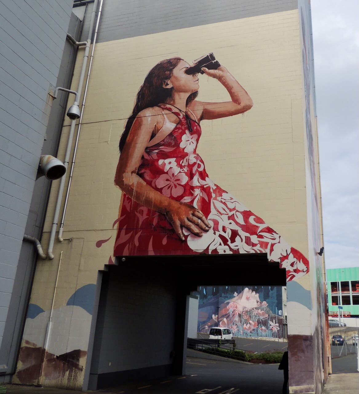 Woman with Binocular Art