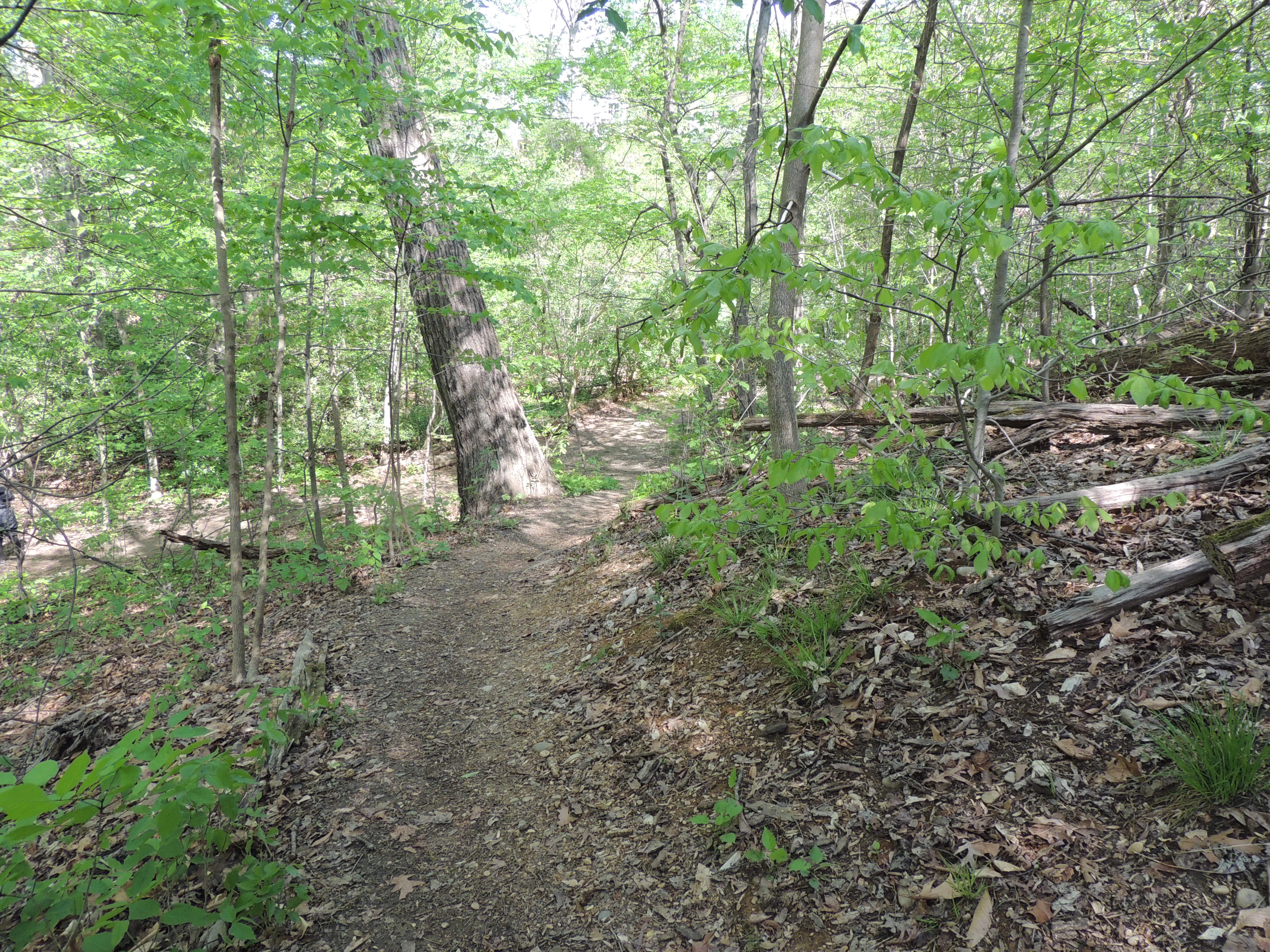 North End of the Ridge Path